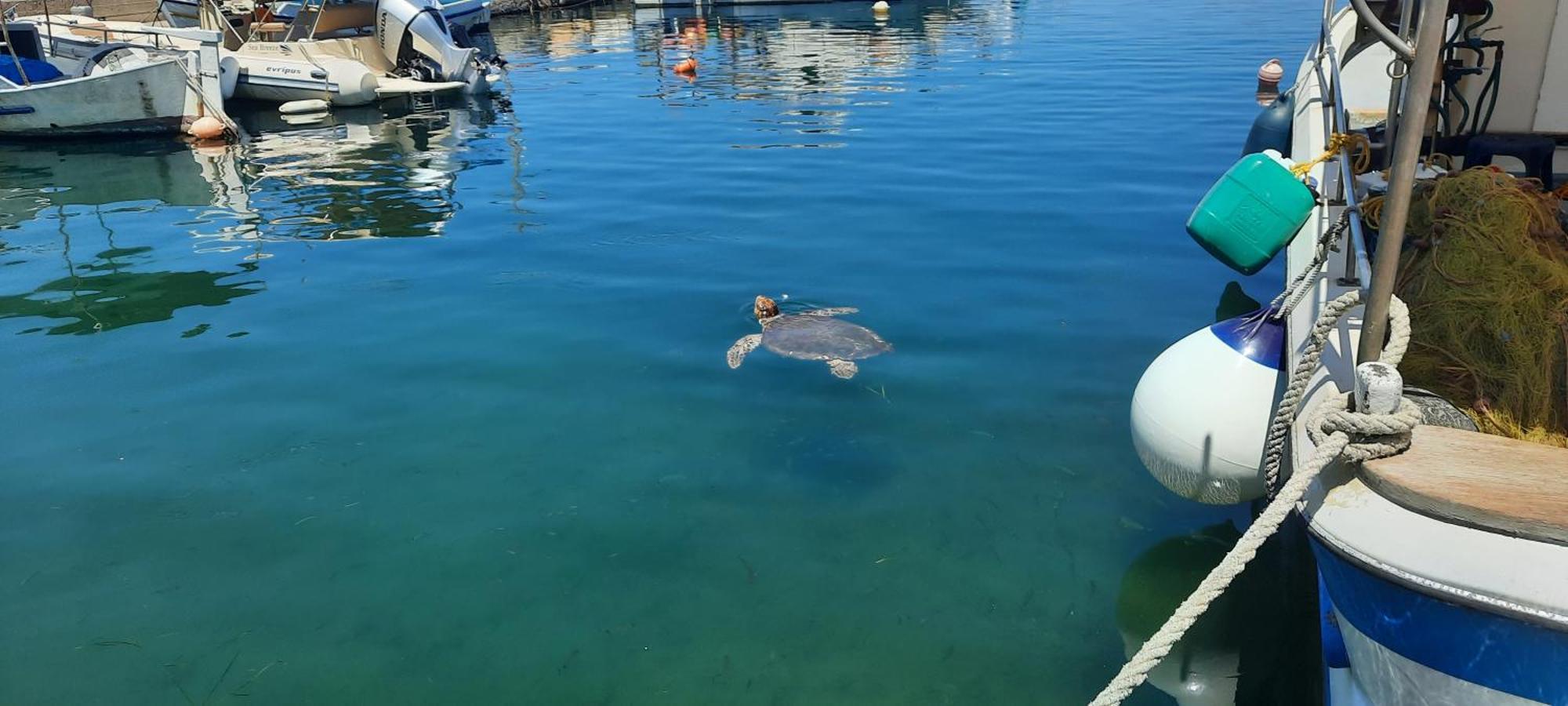 Poseidon Suites Hotel Stavrós Dış mekan fotoğraf